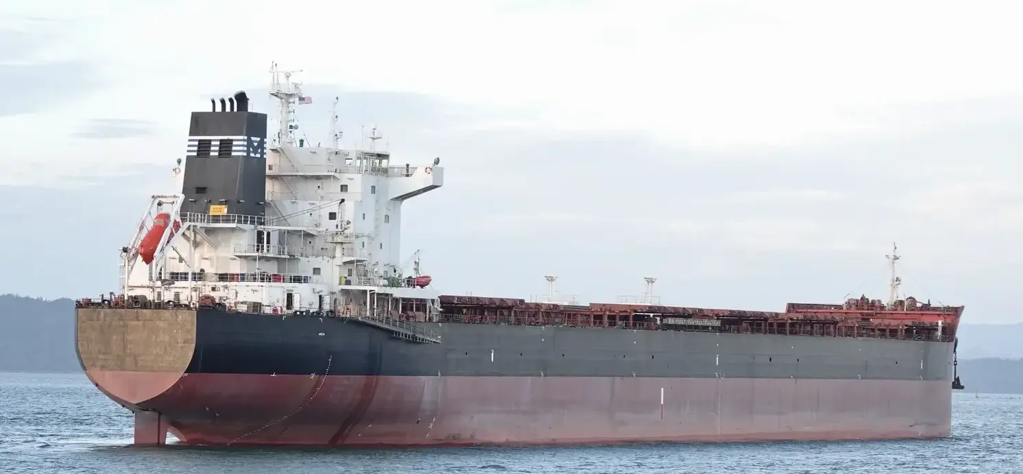 BULKER - AEOLIAN VISION