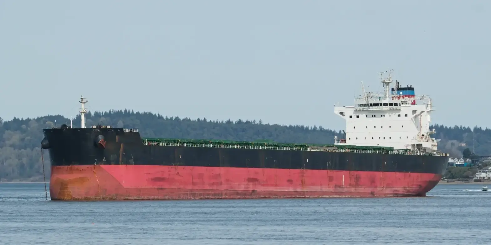 BULKER - AVALON