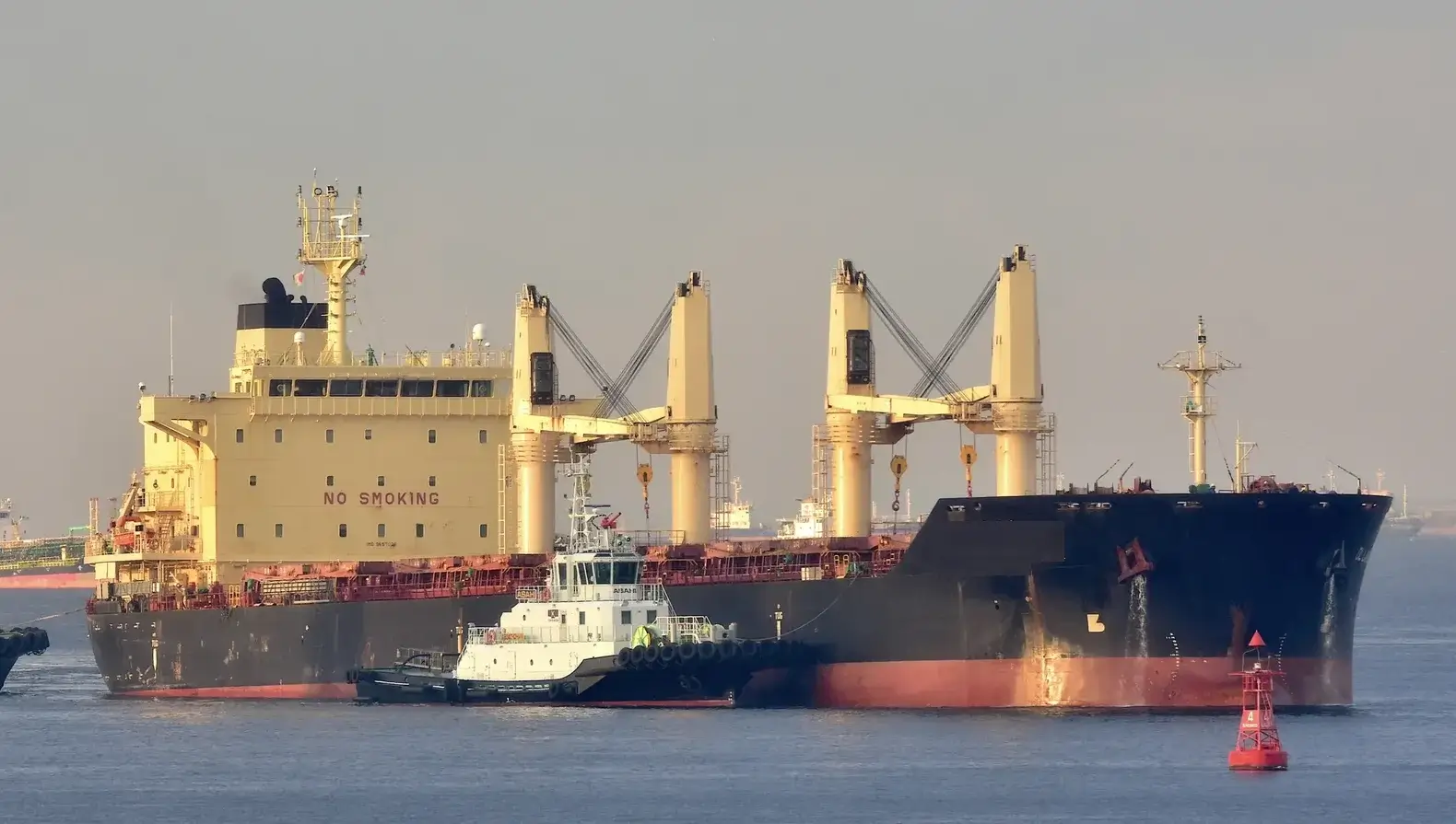 BULKER - DL LAVENDER