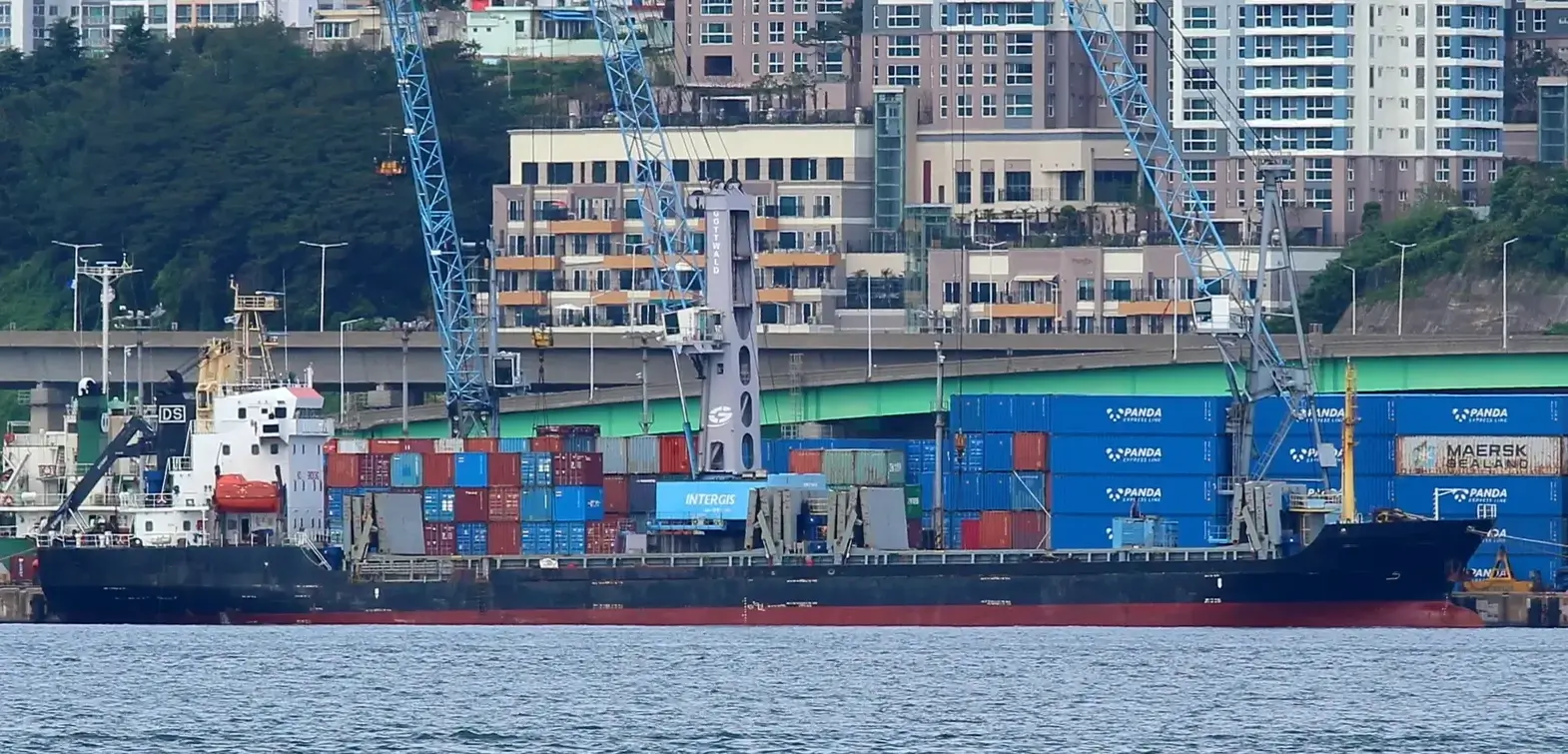 M/V DS FLOURISH