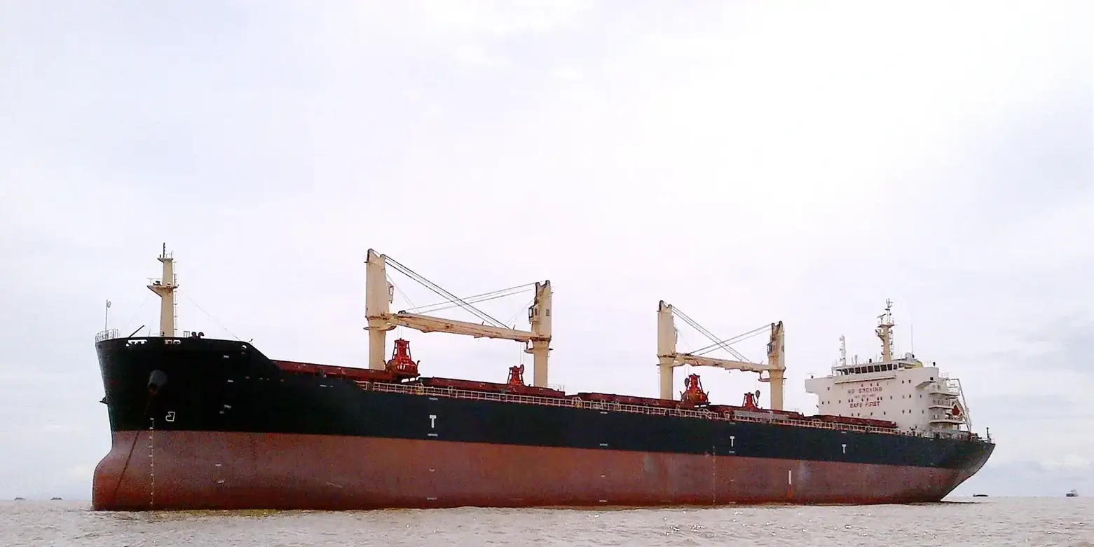 BULKER - EASTERN CAMELLIA