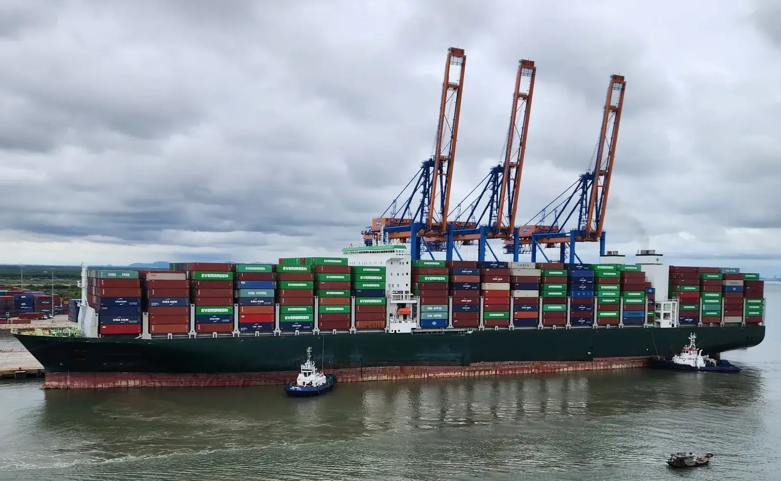 M/V EVER FORTUNE