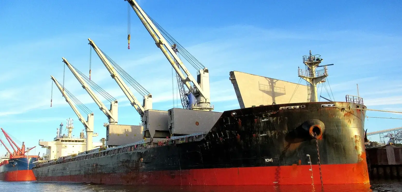BULKER - INTERLINK FORTUITY