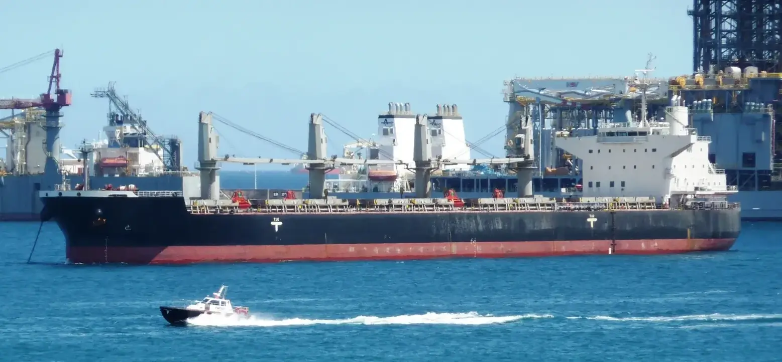 BULKER - LUMINA