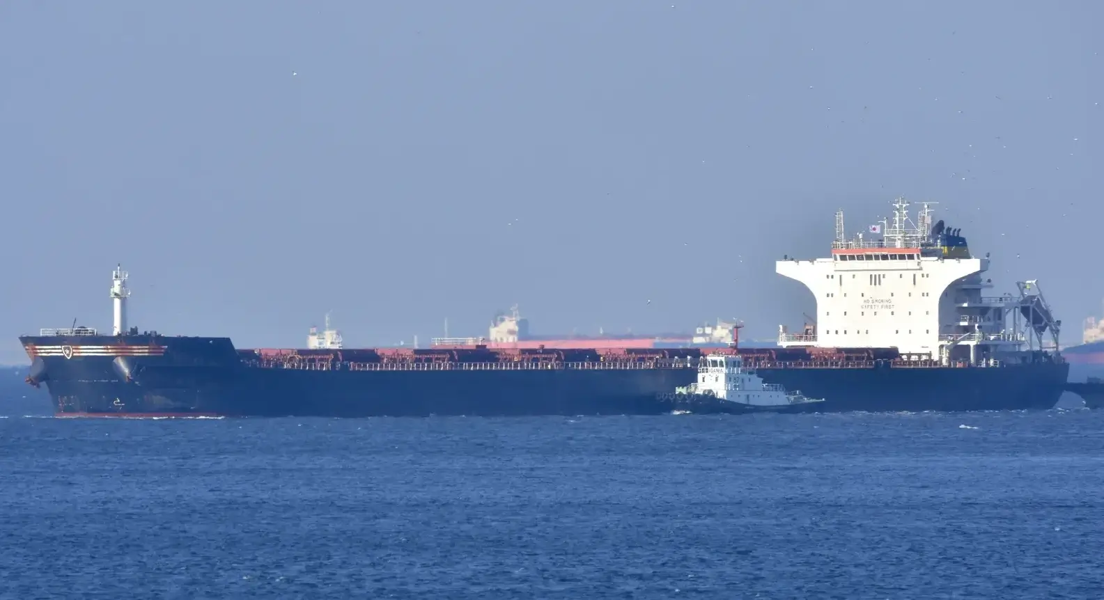 BULKER - MBA ROSARIA