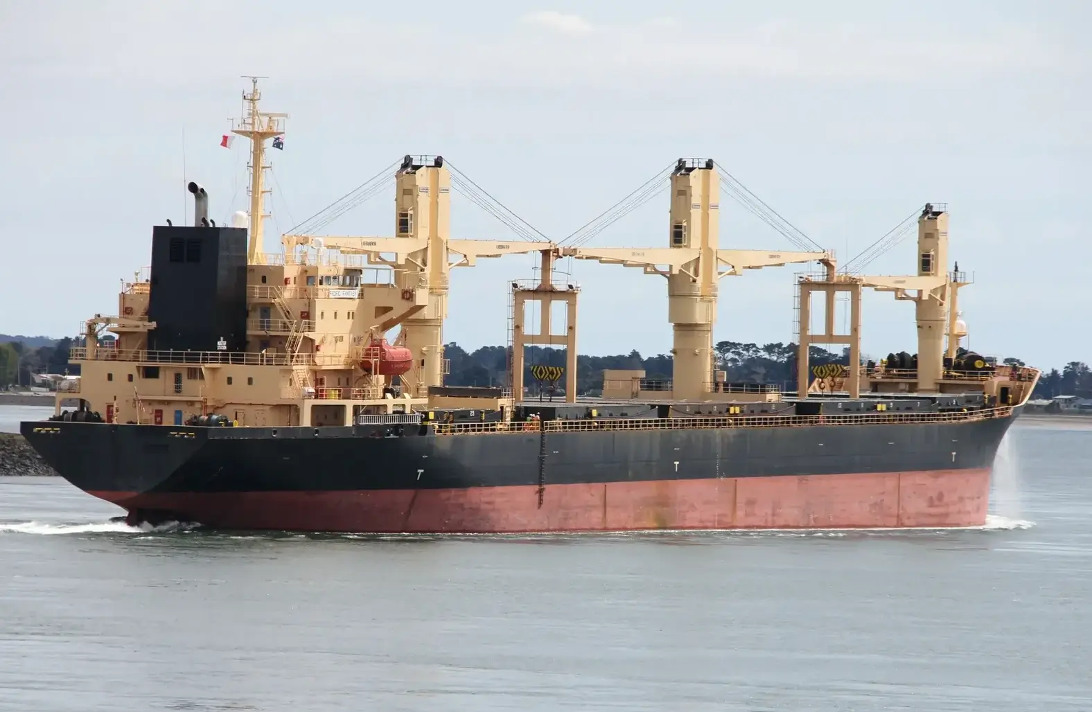 BULKER - OCEAN LION