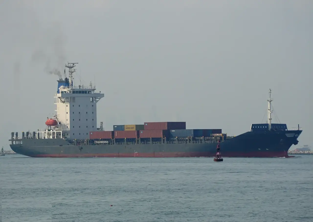 CONTAINER - PACANDA