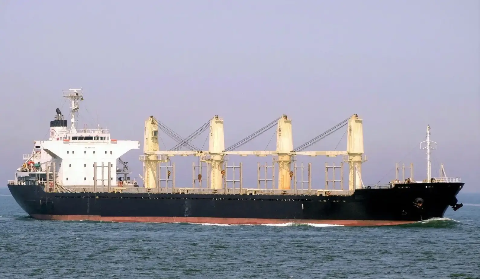BULKER - POAVOSA WISDOM