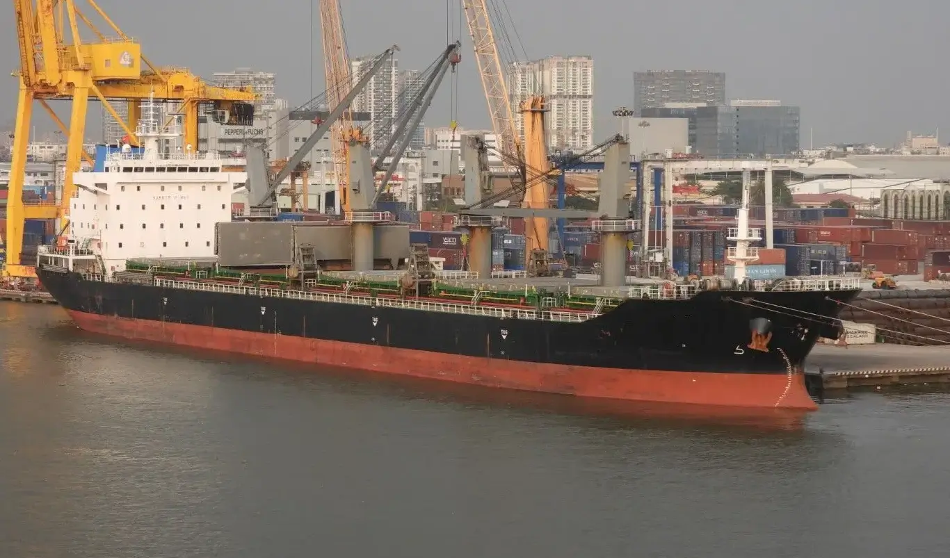 BULKER - QI CHENG 3