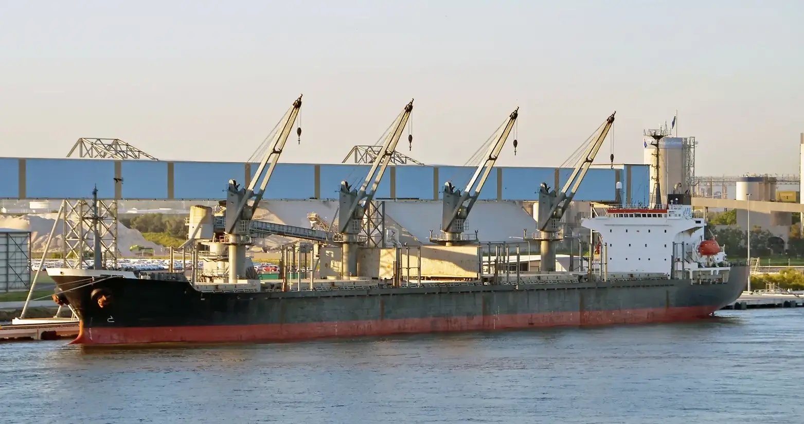 BULKER - RACE