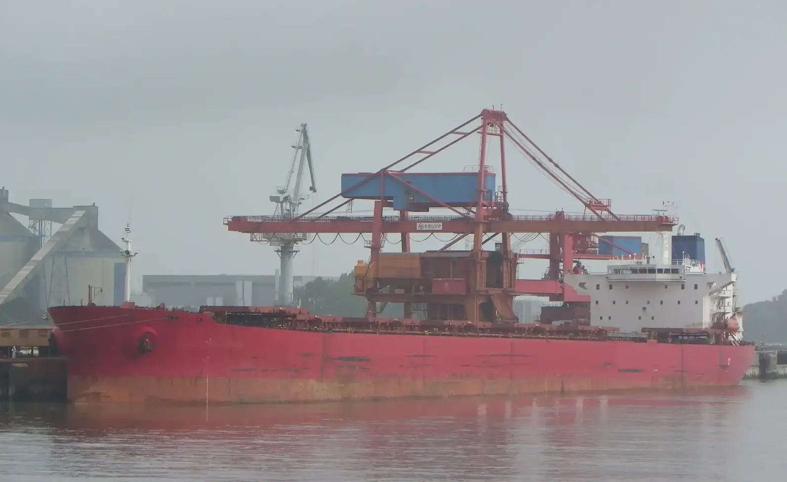 BULKER - RUI TIGER