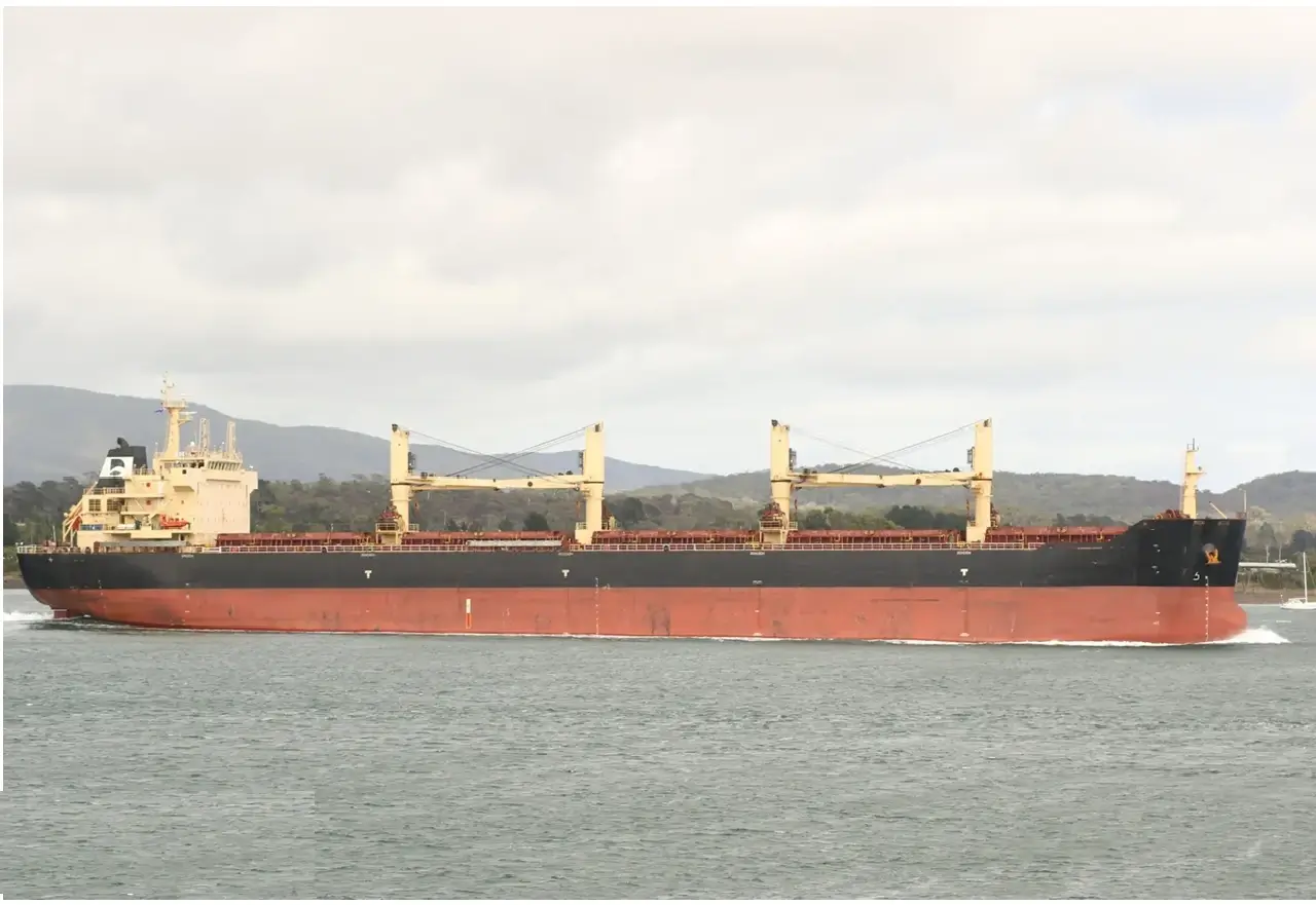 BULKER - STAR CLEO